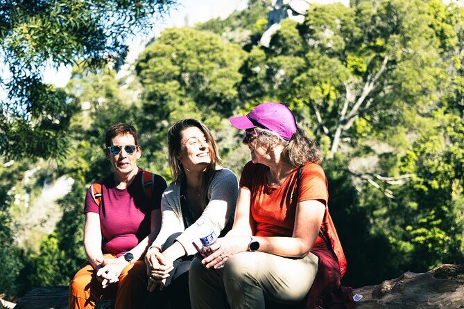 Hike in Sintra: Pena Palace, Moorish Castle, Quinta da Regaleira - Castelo dos Mouros: hiking up through forest, then stepping into the past