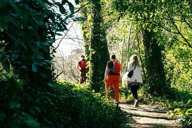 Hike in Sintra: Pena Palace, Moorish Castle, Quinta da Regaleira - Vila Sassetti trail down: an iconic walk through plants and wilderness