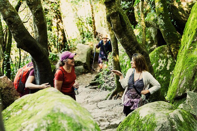 Hike in Sintra: Pena Palace, Moorish Castle, Quinta da Regaleira - The route overview: old town, Moorish Castle, Pena Palace, then Regaleira