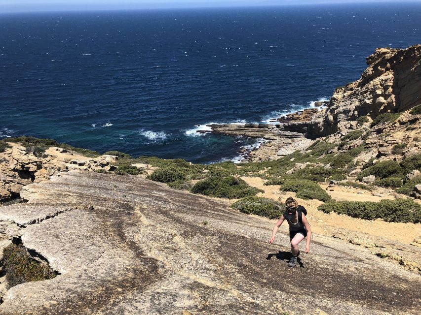 HIKING around Lisbon: Jurassic Dinosaur Trails of Espichel - Price and value: why $116 can make sense for this kind of day