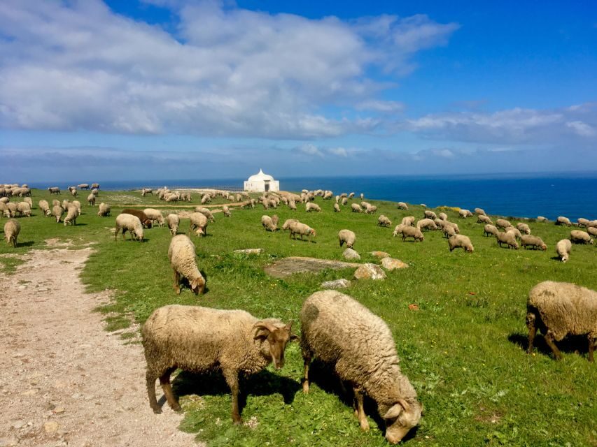HIKING around Lisbon: Jurassic Dinosaur Trails of Espichel - Santuario de Nossa Senhora do Cabo Espichel: the cliffside viewpoint with cultural weight