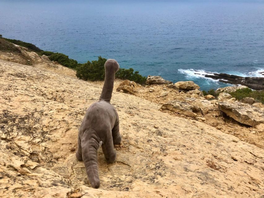 HIKING around Lisbon: Jurassic Dinosaur Trails of Espichel - Meet the guide: Natalia Portugalia Tours and the storycraft approach