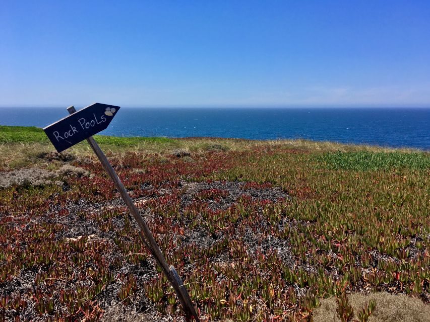 Hiking Tour Along the West Coastline - Key highlights you’ll feel right away