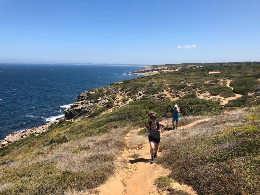Hiking Tour Along the West Coastline - What to bring (and what to wear) so the day stays fun