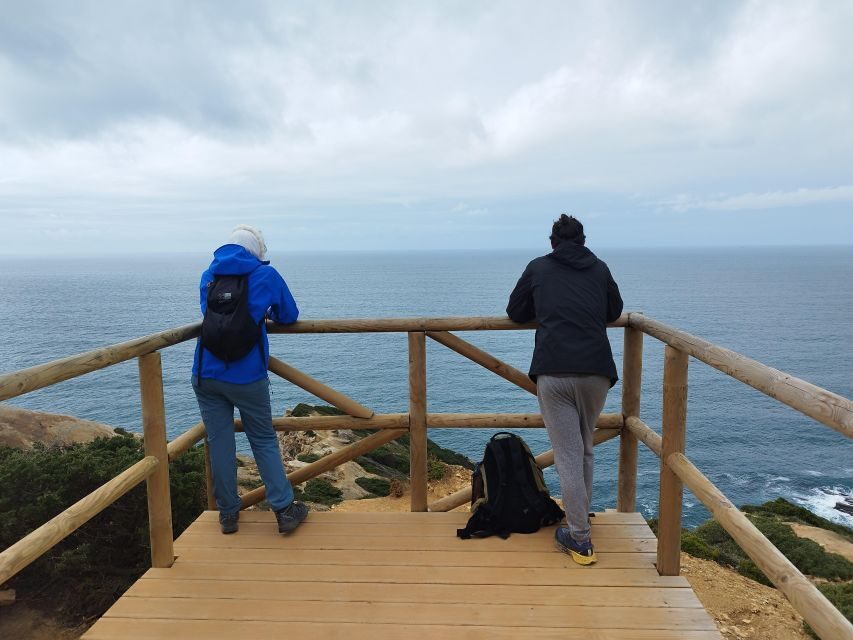 Hiking Tour Along the West Coastline - Getting out the door: pickup points and the ~30-minute ride