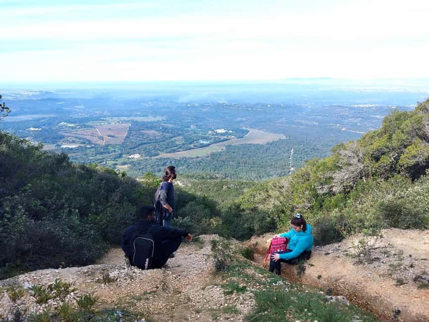 Hiking Tour to the highest point of Arrábida Mountain - Arrábida Natural Park: Plants You’ll Recognize After the Walk