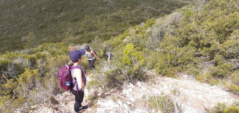Hiking Tour to the highest point of Arrábida Mountain - Food on the Move: Local Bread and Cheese That Actually Helps