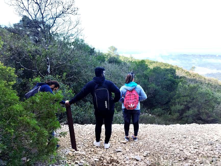 Hiking Tour to the highest point of Arrábida Mountain - Route Reality Check: From Gravel Road to the 501 m Peak