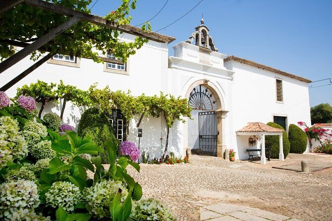 Historic Winery Tour and Tasting in Bombarral - Key highlights at a glance
