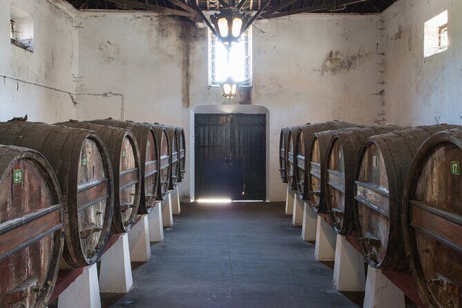 Historic Winery Tour and Tasting in Bombarral - Getting to Bombarral Without the Hassle