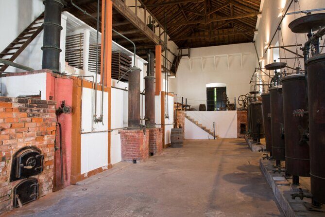 Historic Winery Tour and Tasting in Bombarral - Entering the Quinta: History You Can See, Not Just Hear