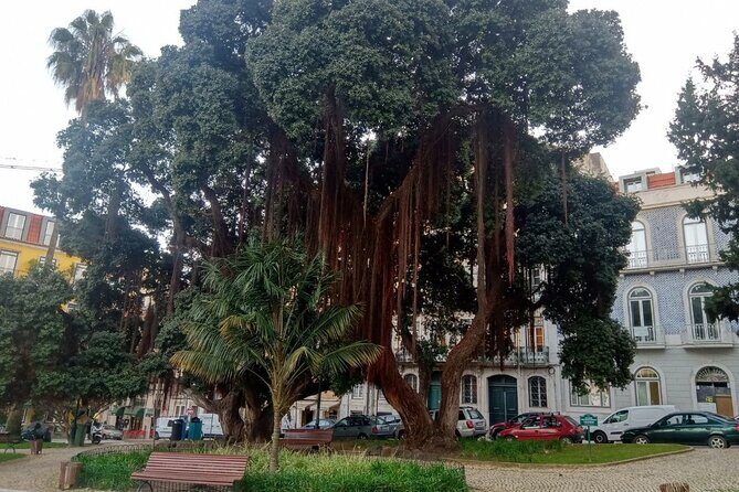 History-mistery of Lisbon (secrets societies and black arts) - Bairro Alto and the Masonic Lodge stop