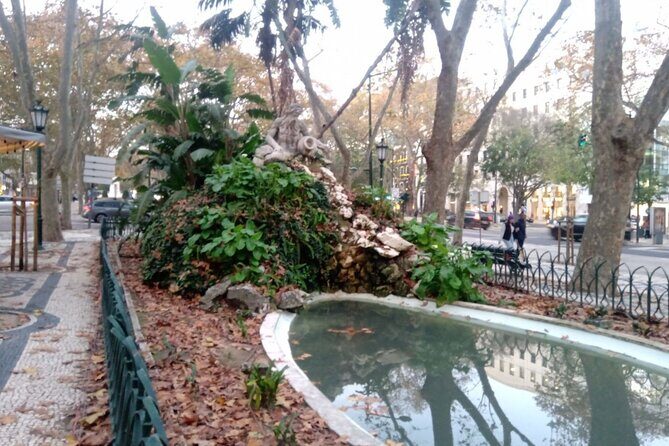 History-mistery of Lisbon (secrets societies and black arts) - Entering Alfredo Keil Garden under ceiba trees