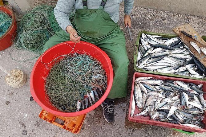 Hooked on Sesimbra - Meeting at Docapesca and getting set up for success