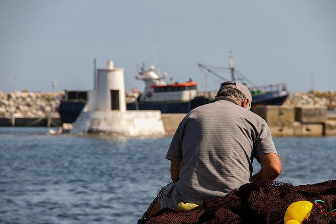 Hooked on Sesimbra - Entering the port world: what you’ll do at the unloading area