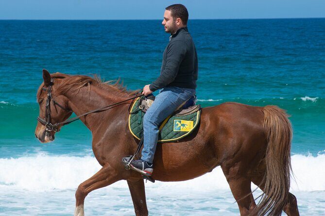 Horse Riding on Melides Beach - Key highlights
