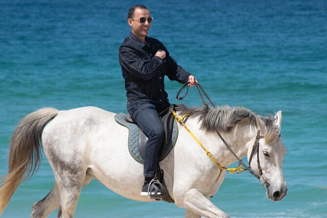 Horse Riding on Melides Beach - Why Melides Beach Horseback Feels Different Than a Simple Ride