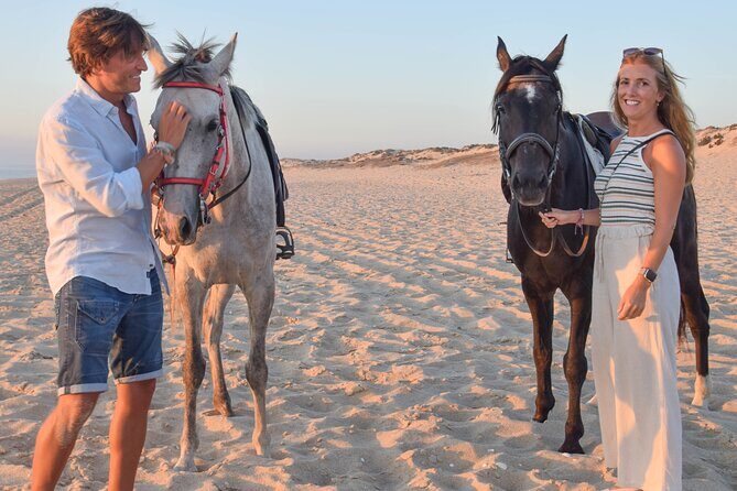Horse Riding on Melides Beach - The Horses and the Guide: Comfort for Beginners