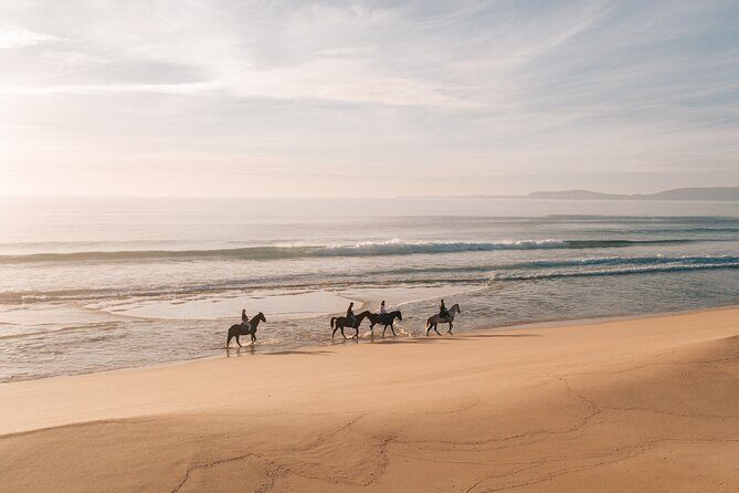 Horse Riding on the Beach with private transfer from Lisbon - Getting set up: briefing, horse selection, and first-ride confidence