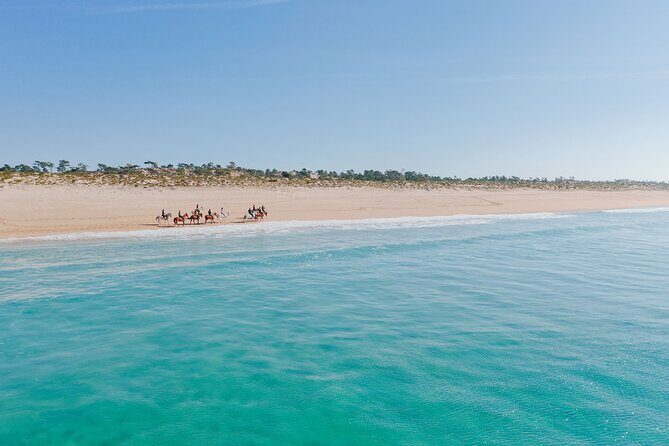 Horse Riding on the Beach with private transfer from Lisbon - Your guide matters: names you might meet and what they suggest about the experience