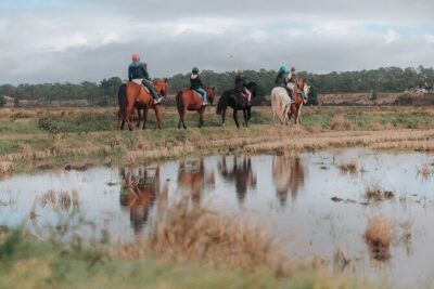Horse riding on the beach, with private transfer from Lisbon - Private transfer from Lisbon: what you’re really paying for