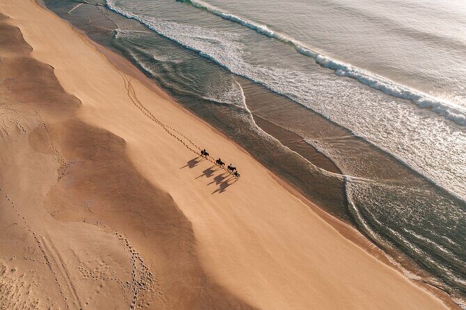 Horse Riding on the Beach with private transfer from Lisbon - Small group size (max 8): why it changes the quality