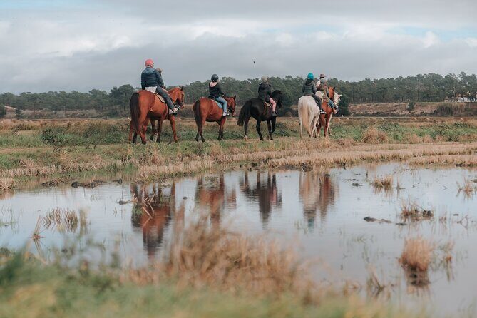 Horse Riding on the Beach with private transfer from Lisbon - The ride itself: forest-and-dune time before the beach sand