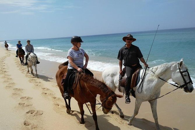 Horse Riding Tour on the Beach Lisbon region - Key highlights at a glance
