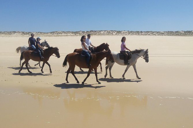 Horse Riding Tour on the Beach Lisbon region - The 1h30 ride: rice fields to Comporta’s white sands