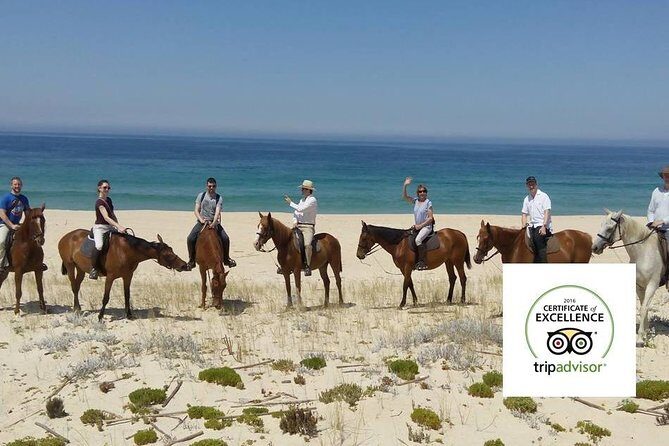 Horse Riding Tour on the Beach Lisbon region - Beginner-friendly riding: how to get comfortable fast