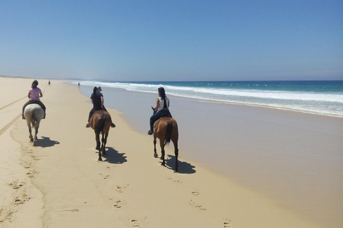 Horse Riding Tour on the Beach Lisbon region - What’s included (and what you’ll need to budget for)