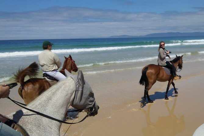 Horse Riding Tour on the Beach Lisbon region - Price and value: is $337.43 worth it?