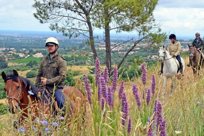 Horseback Riding In Lisbon - Arrábida - Louro Trail Mountain 5 - 6 Hours - Quinta de Alcube lunch and wine tasting: charcuterie, not a buffet