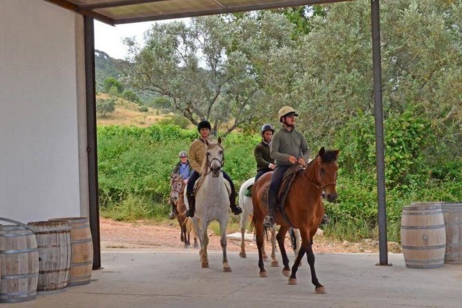 Horseback Riding In Lisbon - Arrábida - Louro Trail Mountain 5 - 6 Hours - Horses, helmets, and the experience level you should bring
