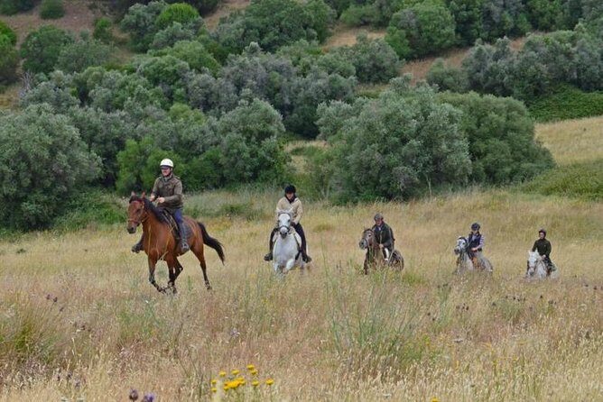 Horseback Riding In Lisbon - Arrábida - Louro Trail Mountain 5 - 6 Hours - What to wear and bring for a smooth, comfortable ride