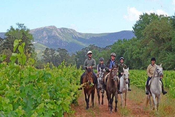 Horseback Riding In Lisbon - Arrábida - Louro Trail Mountain 5 - 6 Hours - Getting to the start: Almada pickup vs. Palmela Terminal