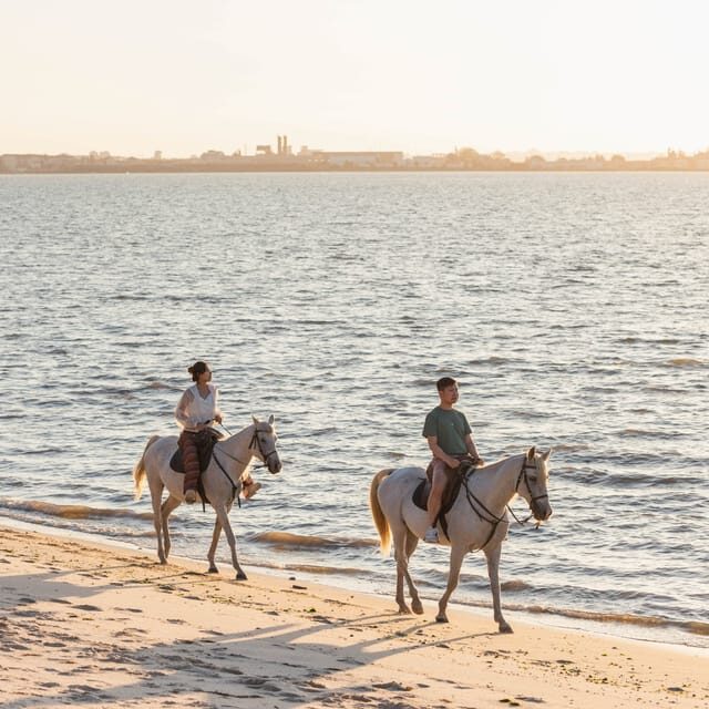 Horseback Riding On The Beach At Sunset - Key things you’ll remember from this Tagus sunset ride