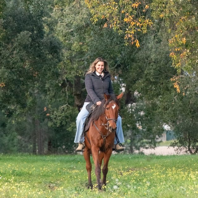 Horseback Riding On The Beach At Sunset - Price and value: what you’re really paying for at $153 per person