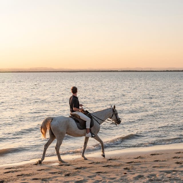 Horseback Riding On The Beach At Sunset - Languages and communication: what to expect from the guide