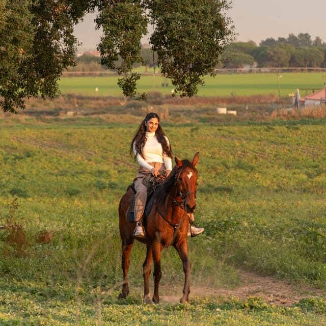 Horseback Riding On The Beach At Sunset - Photo moment tip: how to get your sunset shots without fighting the ride