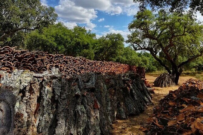 Jeep Cork Tour Experience Pack - Small group matters: why max 12 people is more than a number