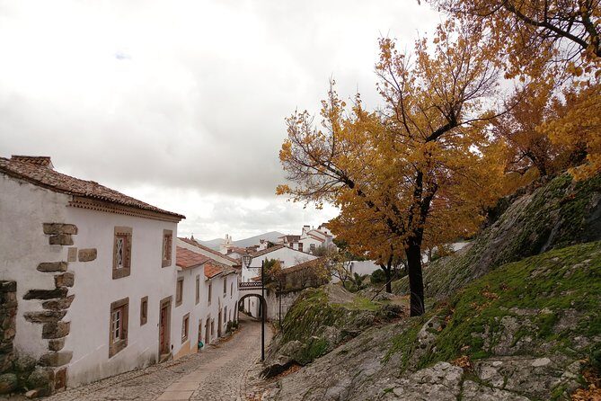 Jewish Sephardic Heritage Essence 10H - Private Tour from Lisbon - Guide Daniel and the Private-Tour Pace