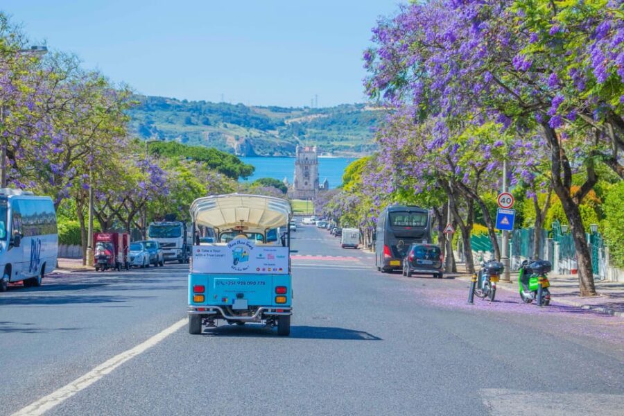 Lisbon: 2h or 4h Private TukTuk Tour with a True Local Guide - Estrela Basilica and Príncipe Real: a calmer, more local rhythm