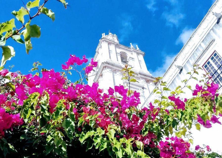 Lisbon: 7 Hills Panoramic Guided Tour by E-Bike - Who This Tour Fits Best
