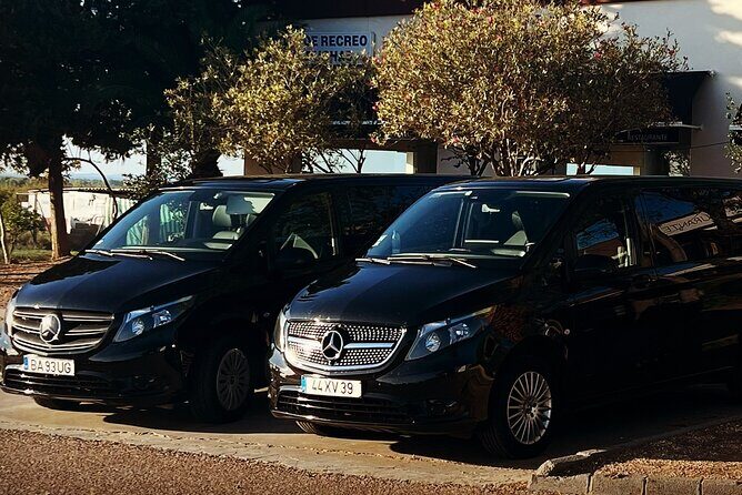 Lisbon Airport Private Transfer - How Pickup Works: Phone Tips and the Nameplate Factor