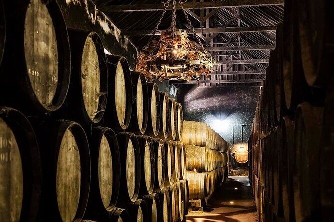 Lisbon : Arrábida and Sesimbra c/ Castelo Palmela and wine tasting - Serra da Arrábida: Cliff Roads, Viewpoints, and White-Sand Magic Time