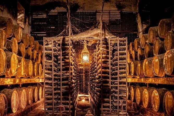 Lisbon : Arrábida and Sesimbra c/ Castelo Palmela and wine tasting - Guides and Group Size: What You Can Control (and What You Can’t)