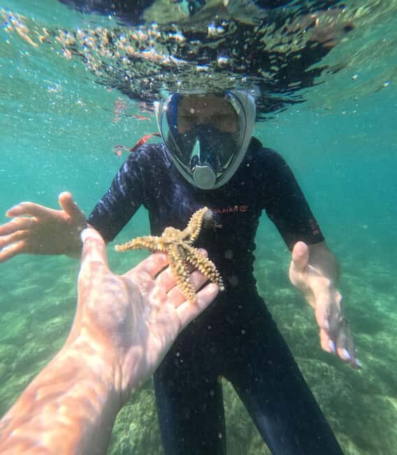 Lisbon: Arrábida Kayak & Wild Beach Snorkeling with Pickup - Beach hut time, drinks, and the GoPro photo advantage