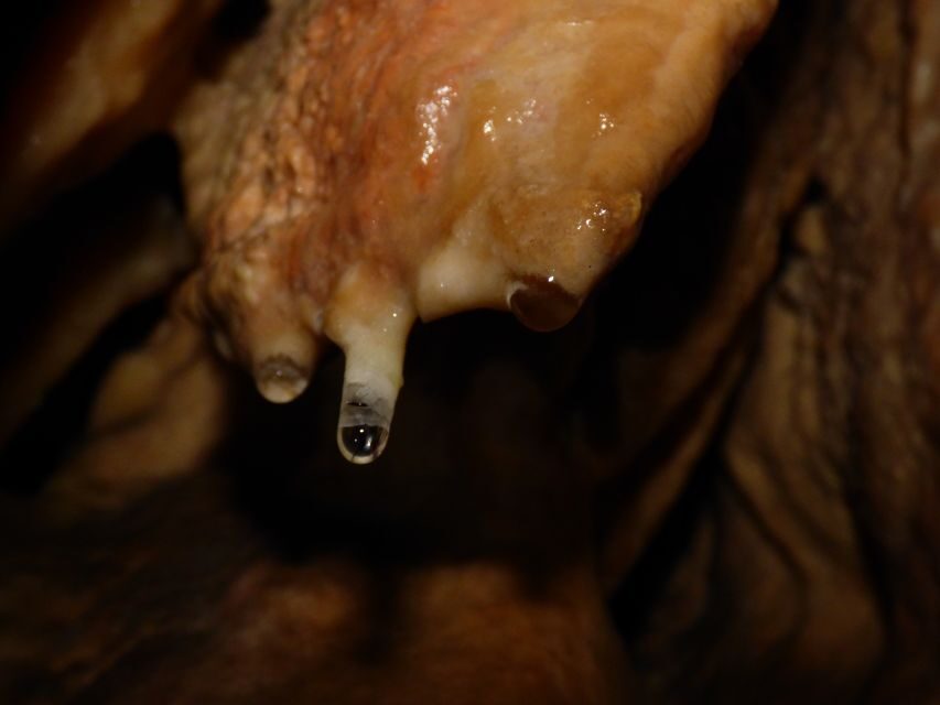 Lisbon: Arrábida Natural Park Cave Tour with Guide - Understanding Arrábida’s Biodiversity Above Ground and Underground