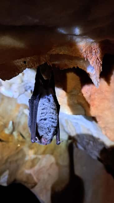 Lisbon: Arrábida Natural Park Cave Tour with Guide - The Guide Makes It: Certified Cavers and Real Safety Habits